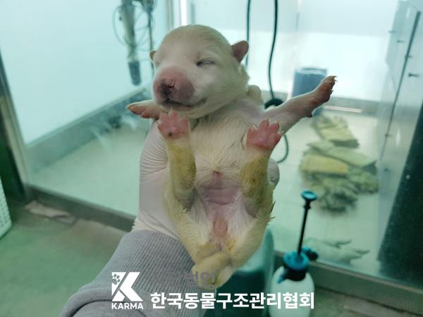 종료(안락사) 믹스…