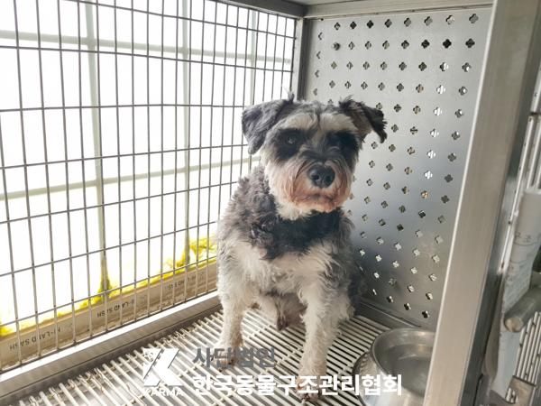 한국동물구조관리협회_411318202500055