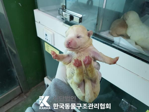 한국동물구조관리협회_441409202500350