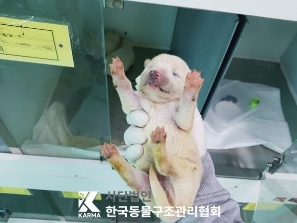 한국동물구조관리협회_441409202500353