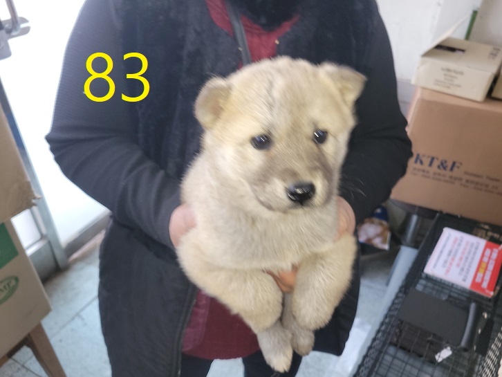 신영재동물병원_428355202500092