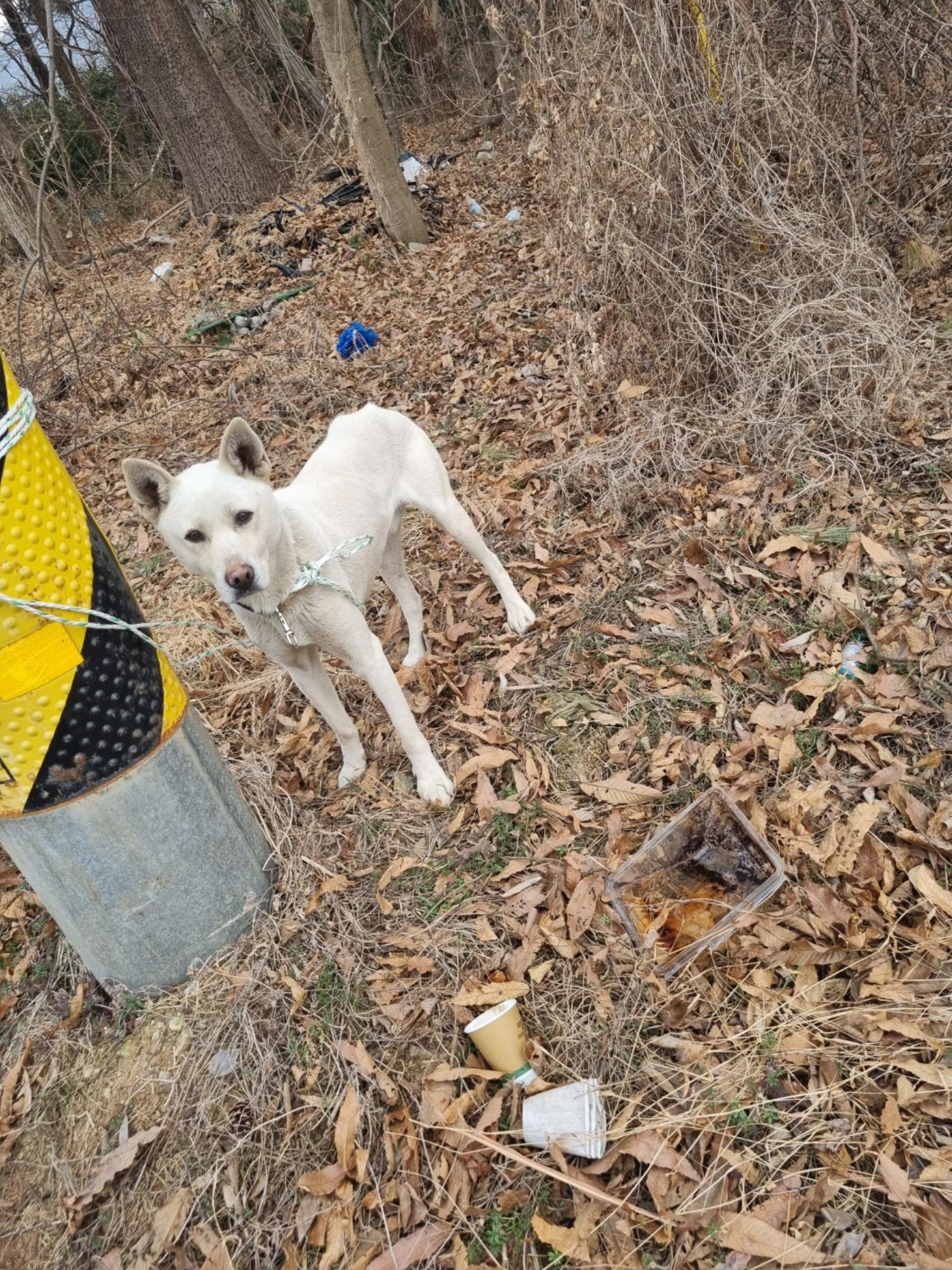 부안군 동물보호센터_445479202500505