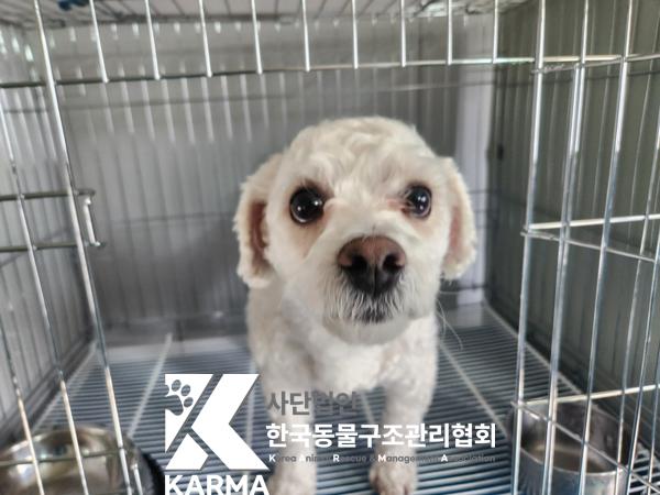 한국동물구조관리협회_411301202500123