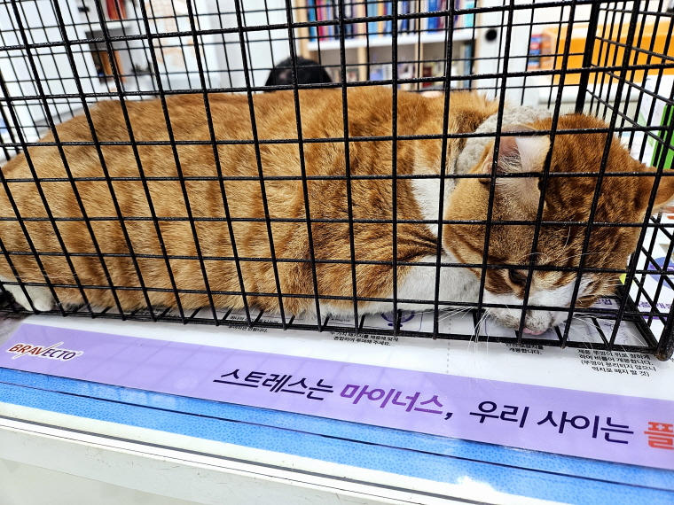 종료(자연사) 한국…