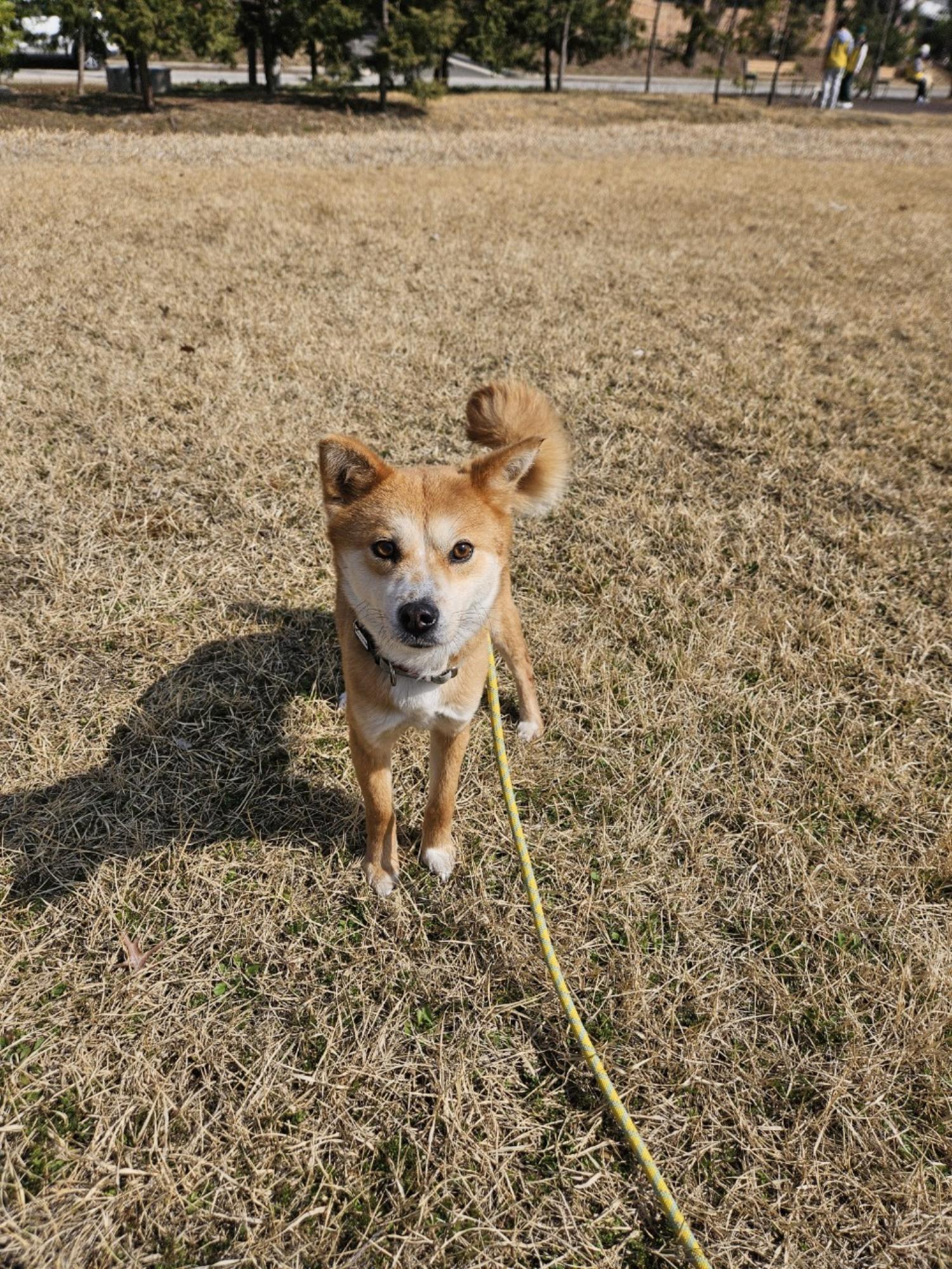 아산동물복지지원센터_444452202500102