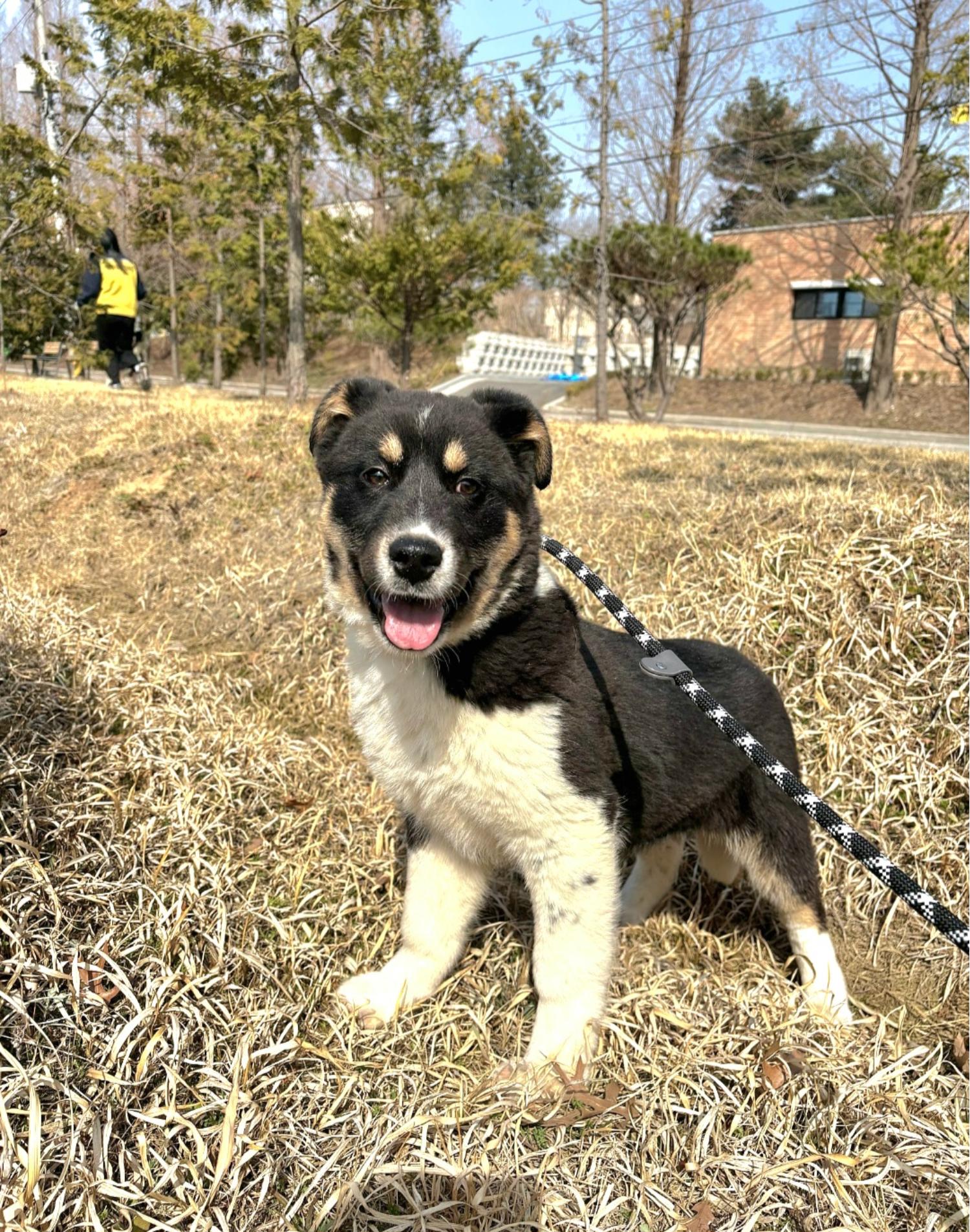 아산동물복지지원센터_444452202500162