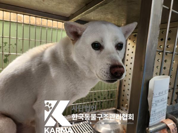 한국동물구조관리협회_411311202500129