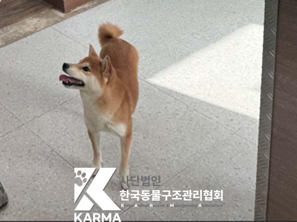한국동물구조관리협회_411315202500153