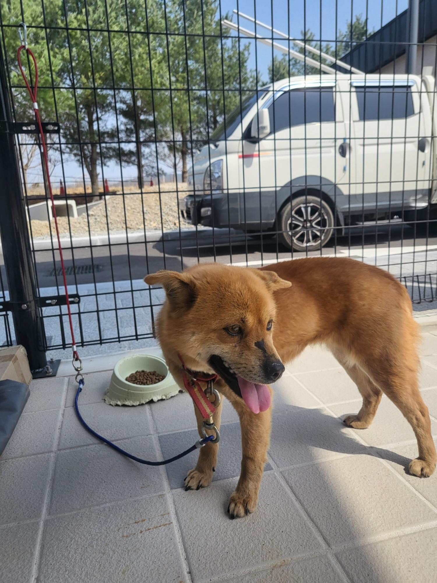 구미시 동물보호센터_447508202500433