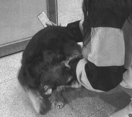 종료(반환) 미니어…