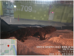 대전동물보호센터_430367202500173