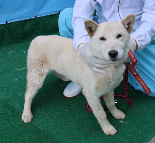 제주 동물보호센터_450650202500630