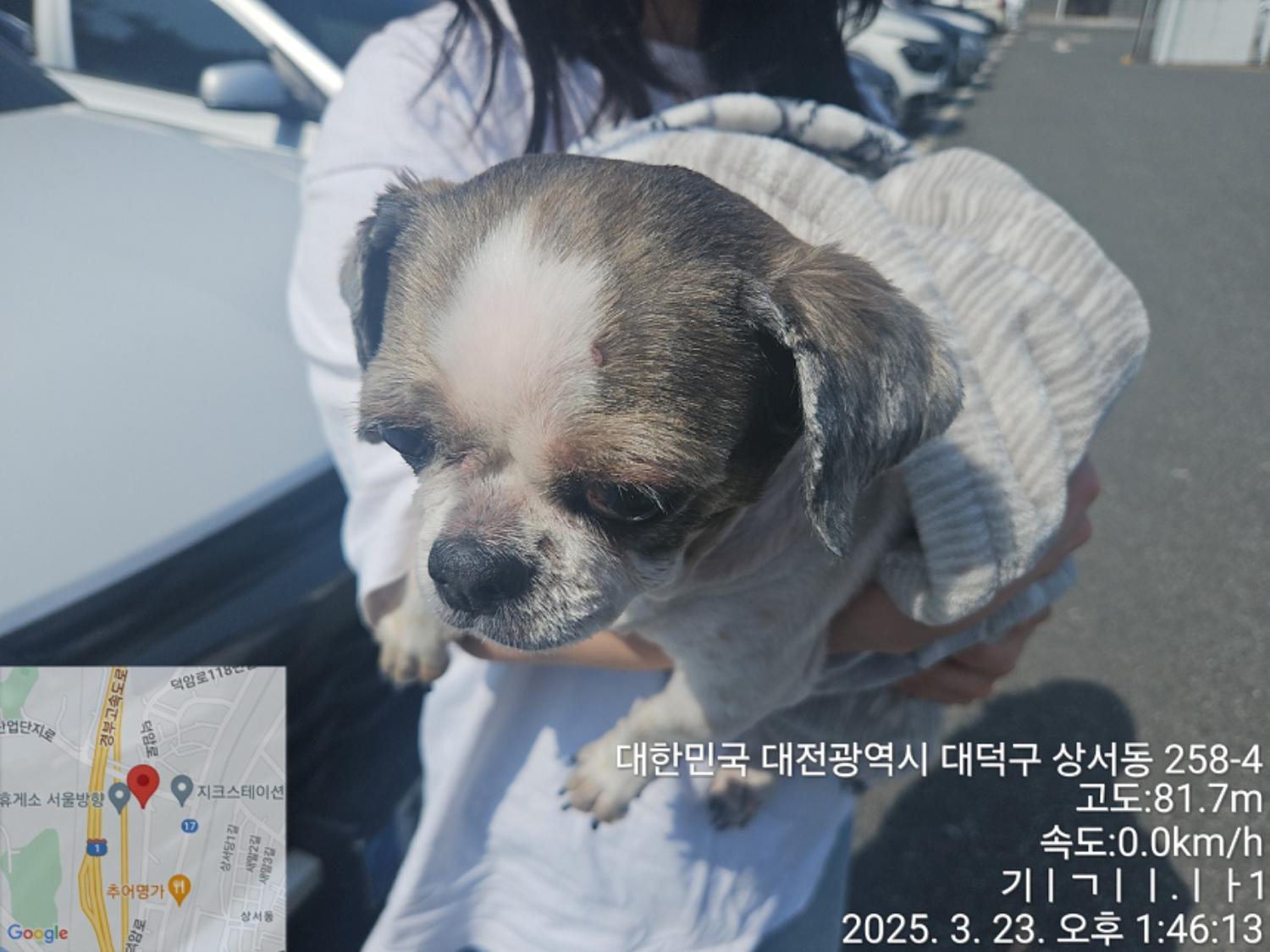 대전동물보호센터_430368202500084