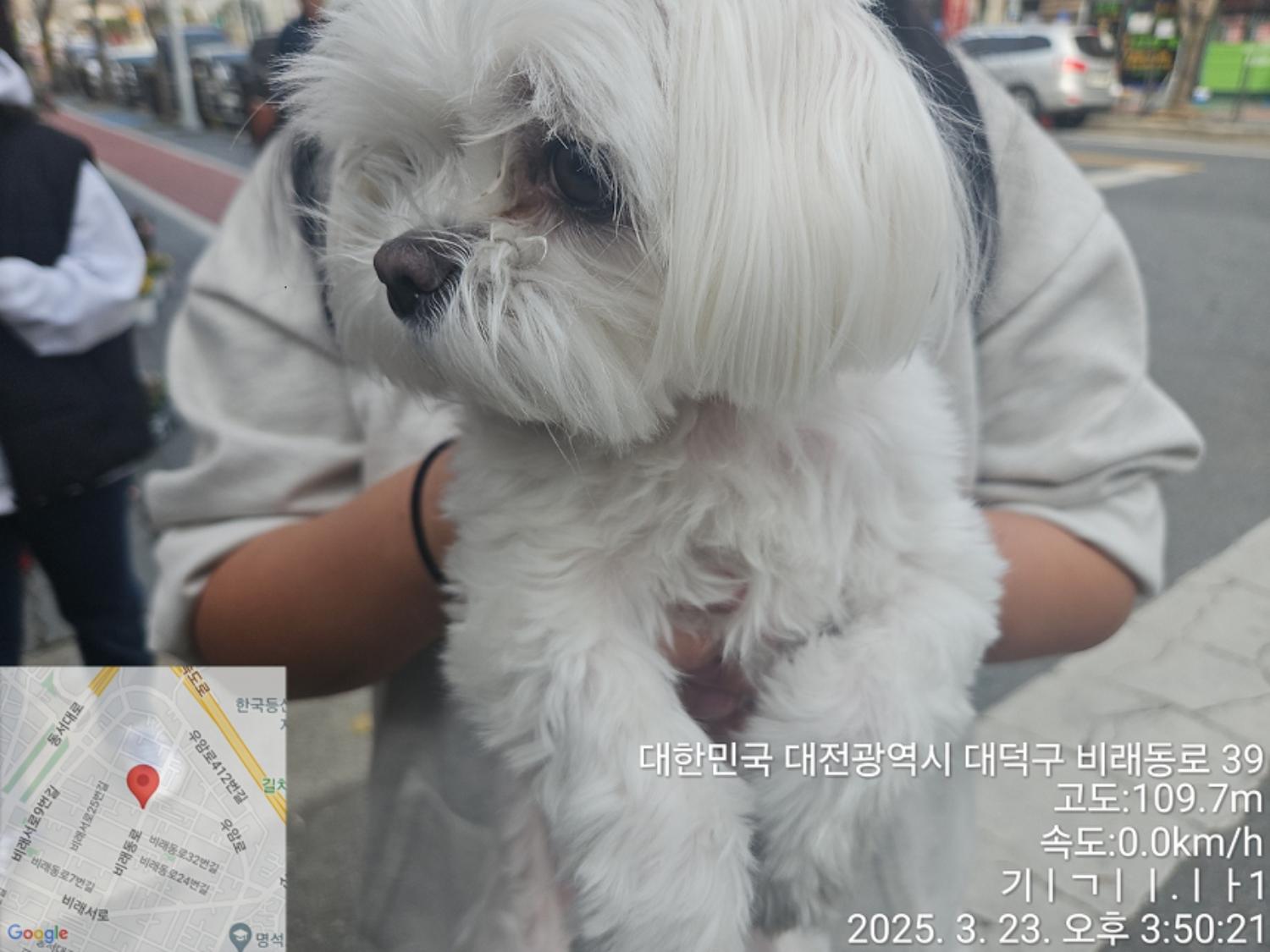 대전동물보호센터_430368202500085