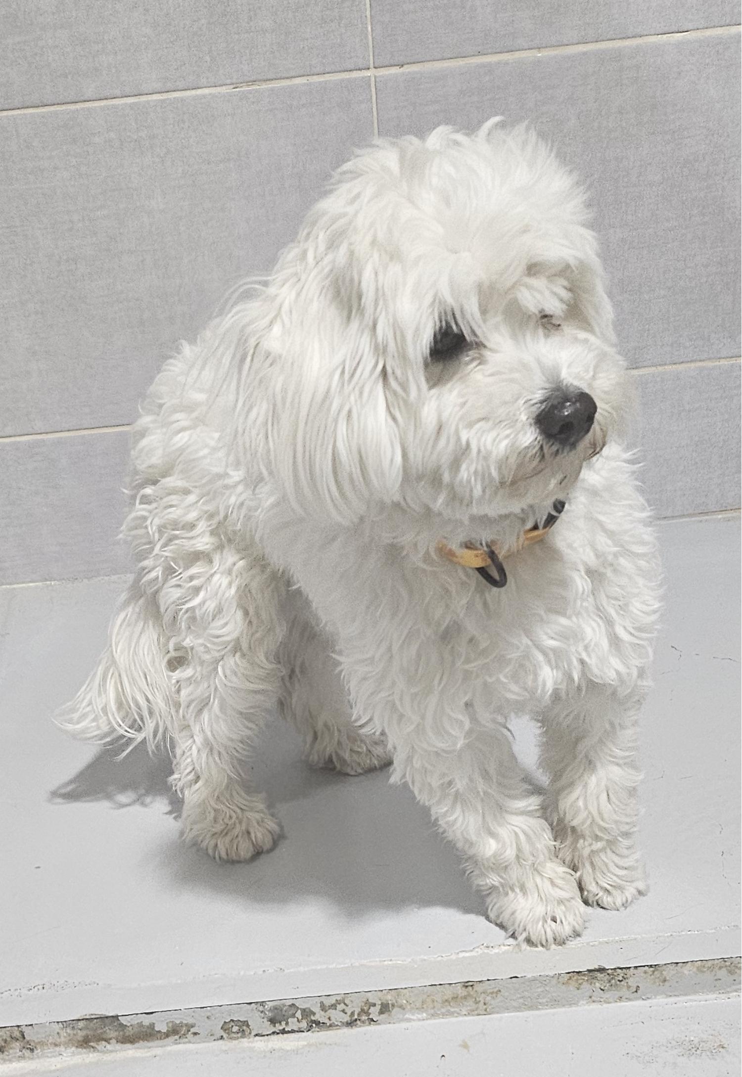 울진군동물보호센터_447525202500110