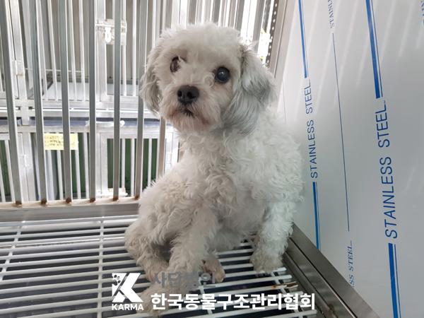한국동물구조관리협회_411323202500260