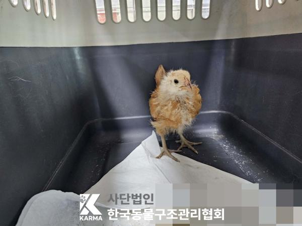 한국동물구조관리협회_411322202500068