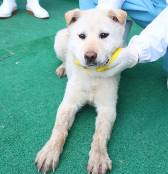 제주 동물보호센터_450650202500656