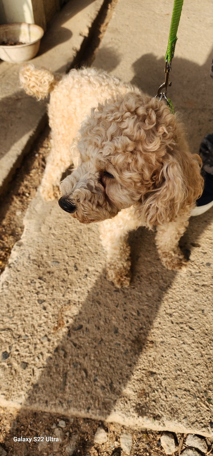 전북말산업복합센터_445471202500123