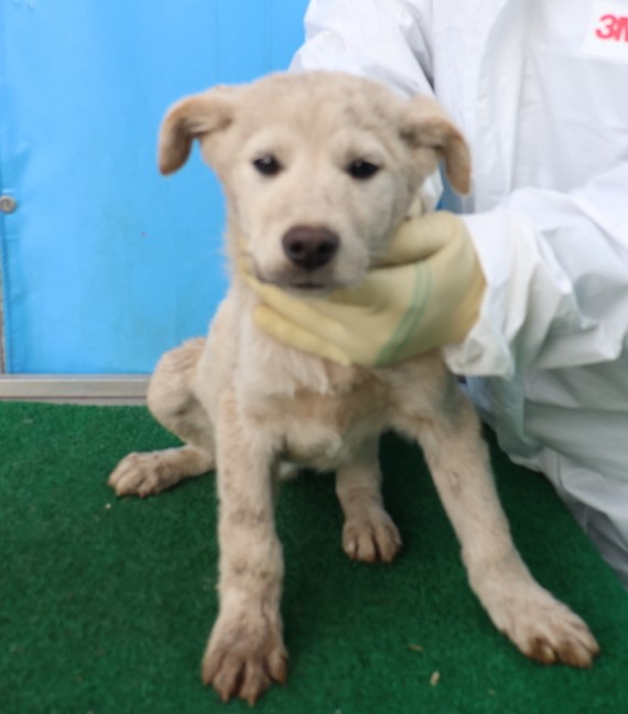 제주 동물보호센터_450650202500661