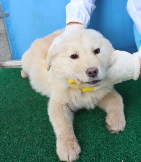 제주 동물보호센터_450650202500665