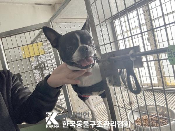 한국동물구조관리협회_441559202500250
