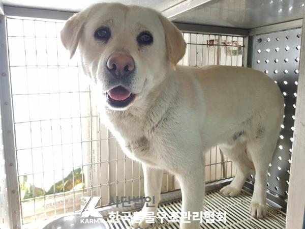 종료(반환) 라브라…