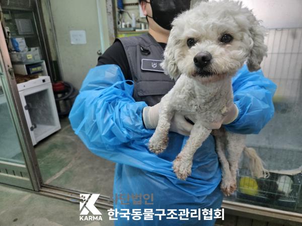한국동물구조관리협회_411317202500091