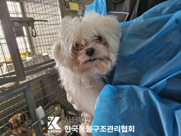 한국동물구조관리협회_411310202500169