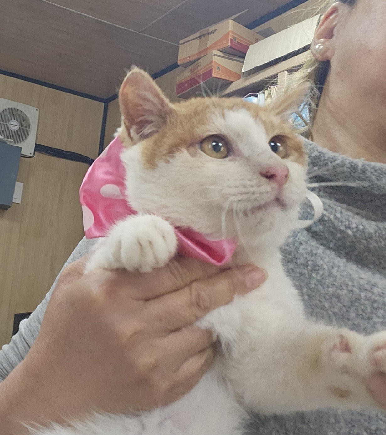 울산유기동물보호센터_431373202500100