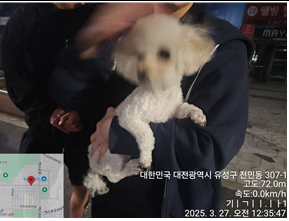 대전동물보호센터_430367202500185