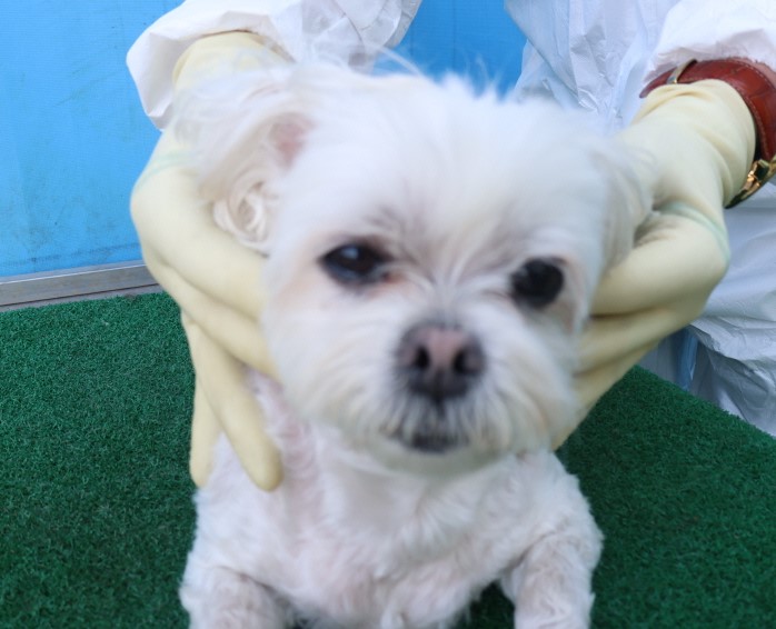 제주 동물보호센터_450650202500677