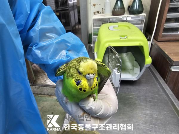 한국동물구조관리협회_411316202500130