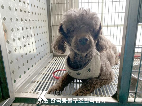 한국동물구조관리협회_441398202500146