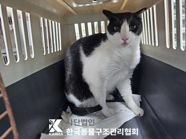한국동물구조관리협회_411315202500170