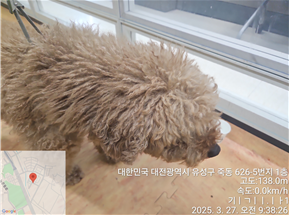 대전동물보호센터_430367202500188