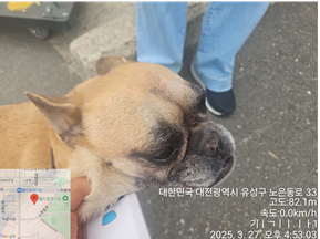 대전동물보호센터_430367202500189