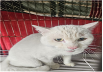 (사)동물보호관리협회_448535202500407
