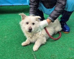 제주 동물보호센터_450650202500695