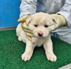 제주 동물보호센터_450650202500699