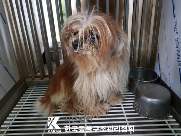 한국동물구조관리협회_441406202500230