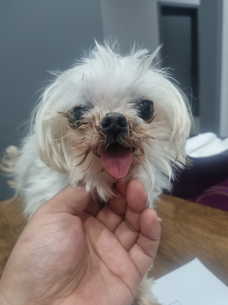 군위종합동물병원_427514202500092