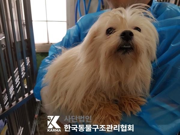 한국동물구조관리협회_441406202500239