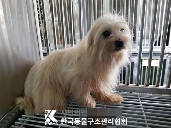 한국동물구조관리협회_441406202500238