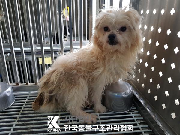 한국동물구조관리협회_441406202500237