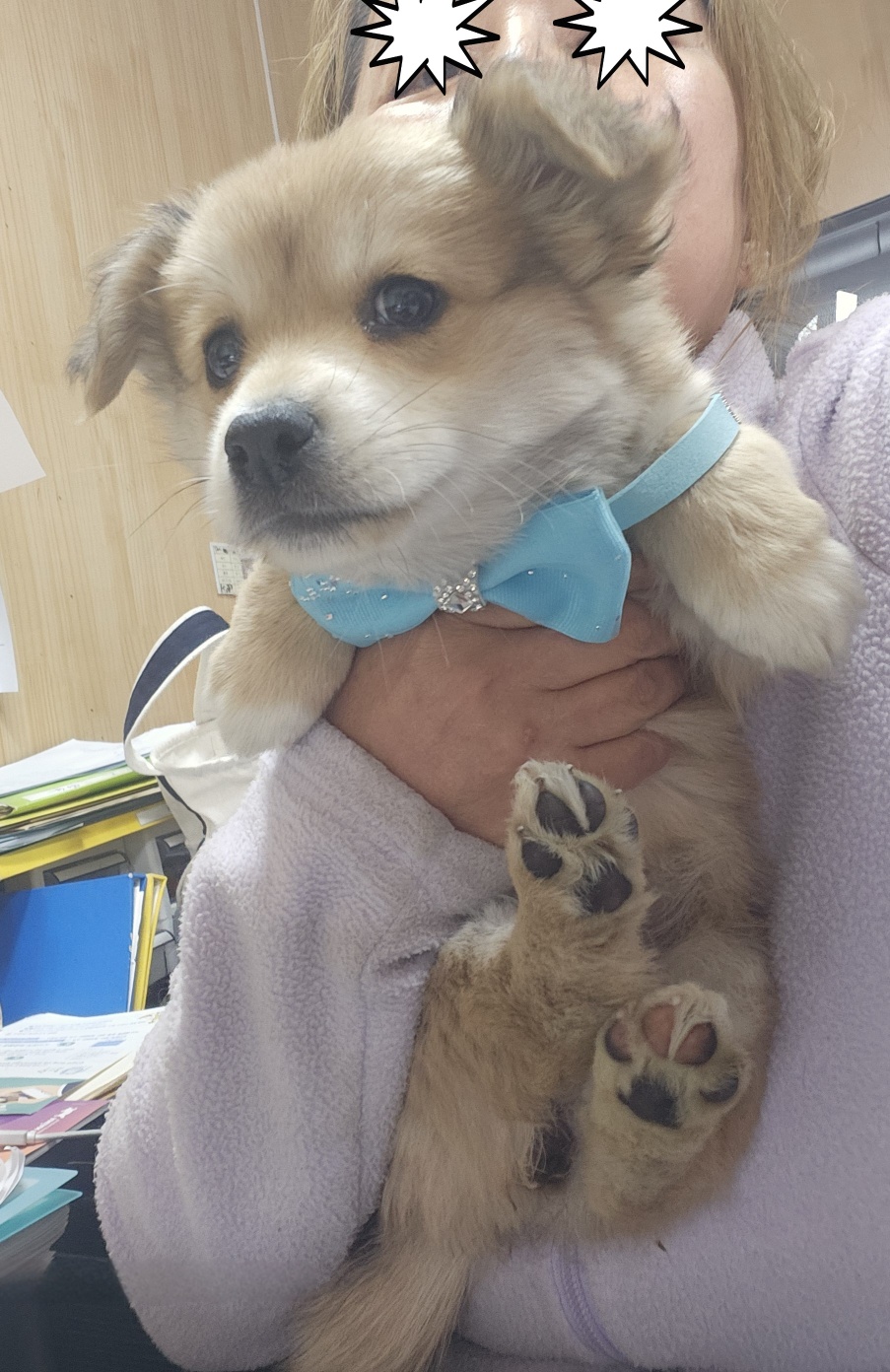 울산유기동물보호센터_431373202500292