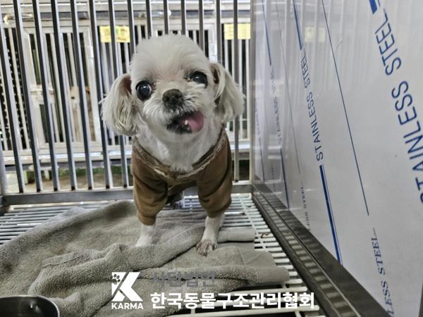 한국동물구조관리협회_411310202500216