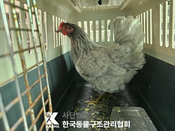 한국동물구조관리협회_411311202500136