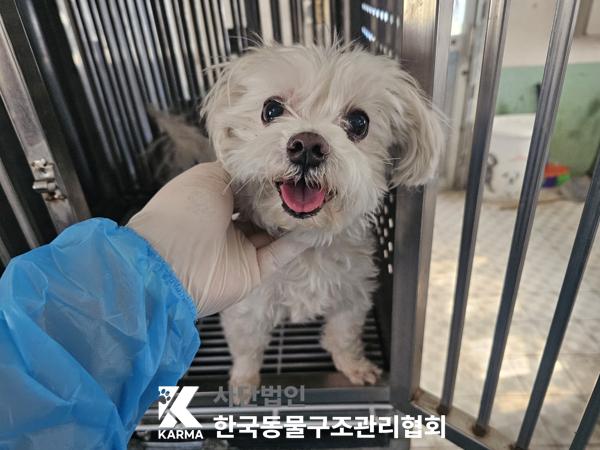 한국동물구조관리협회_441392202500042