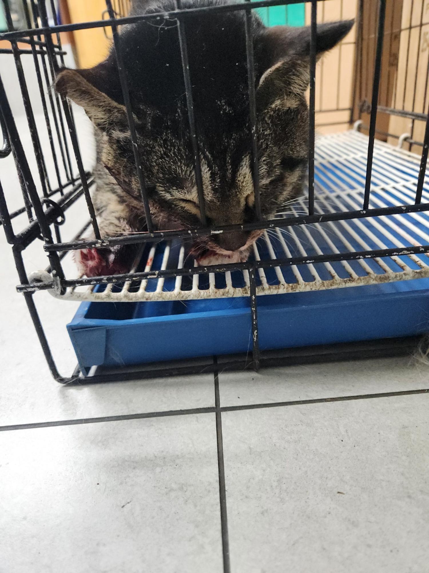 동구종합동물병원_426327202500010